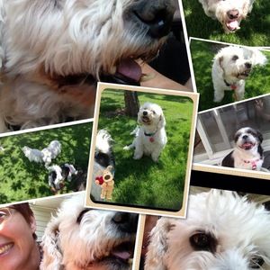 Meet your Posher, Kim